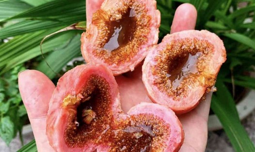 Người bệnh ăn nhiều quả ngõa mật, chứa nhiều chất xơ lúc đói khiến tắc ruột. Ảnh: BVCC