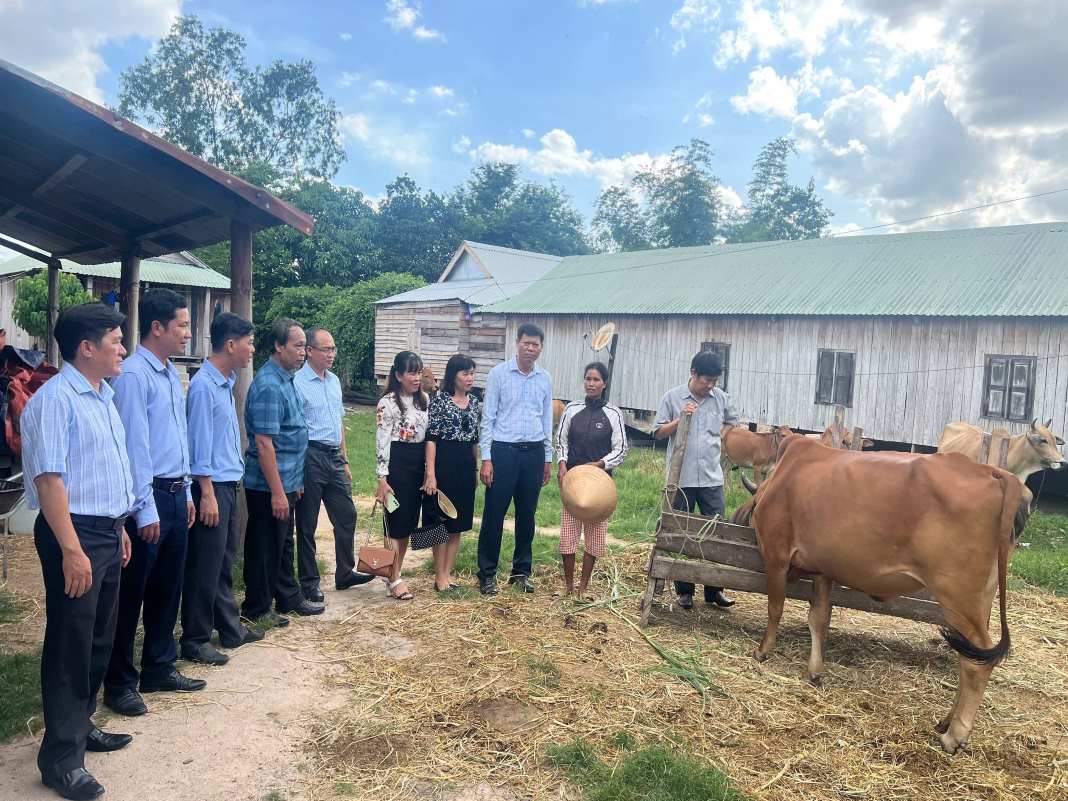 The Phu Yen Provincial Government Bloc Trade Union gives cows to a poor family in Son Hoa district. Photo: Tien Dung