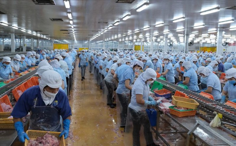 To speed up production at the end of the year, workers need to ensure scientific allocation of work, meals, and rest. Photo: Phong Linh