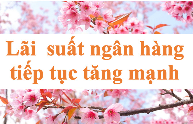 Bank Interest Rate continues to increase sharply. Illustration photo: Ha Vy