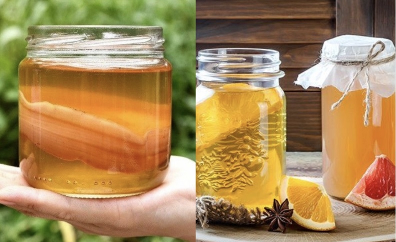 Drinking kombucha helps reduce visceral fat. Graphics: Huong Giang