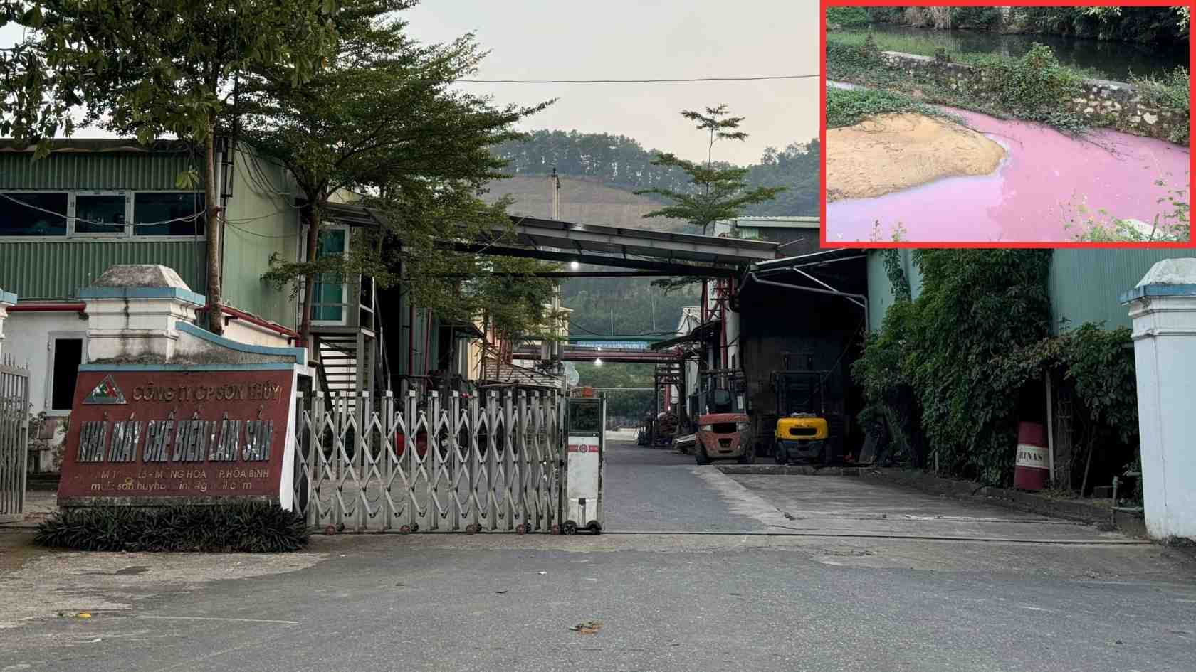 Although the license to discharge wastewater into water sources has expired since January 2024, the Son Thuy Joint Stock Company's forest products processing factory still brazenly discharges waste into the environment. Photo: Khanh Linh