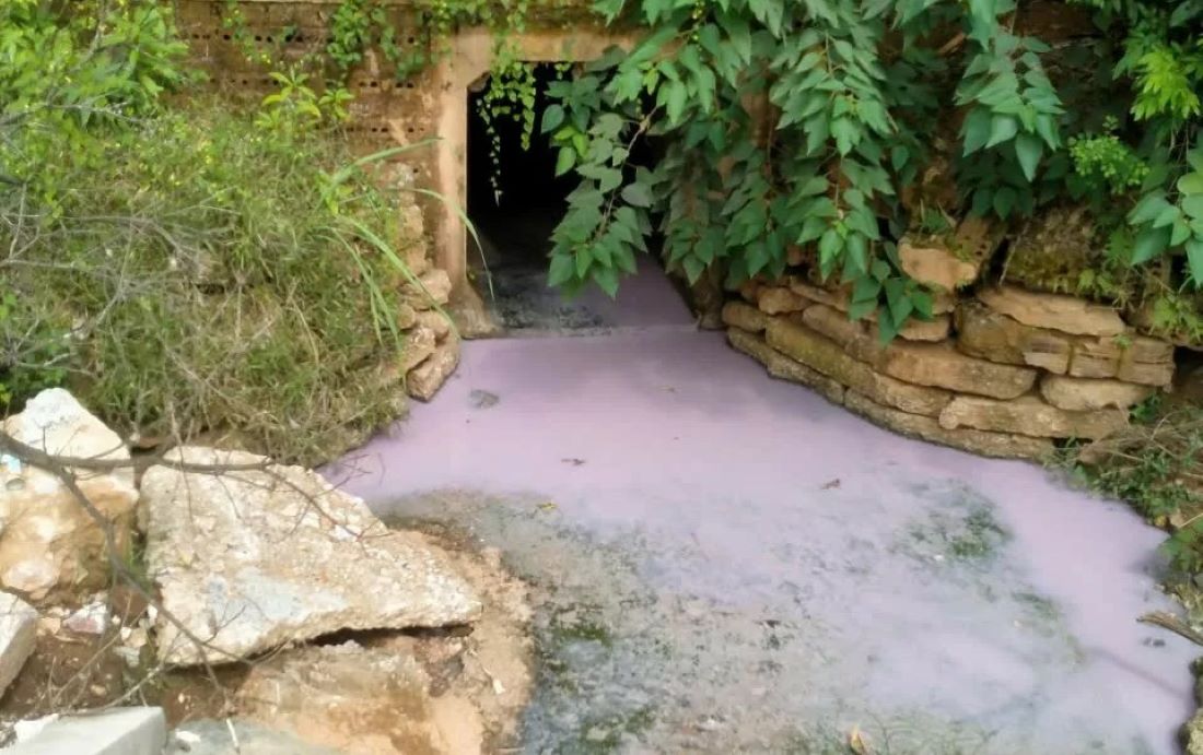 The source of pollution discharged into the environment was identified as Happy Star Company. Photo: Tran Lam