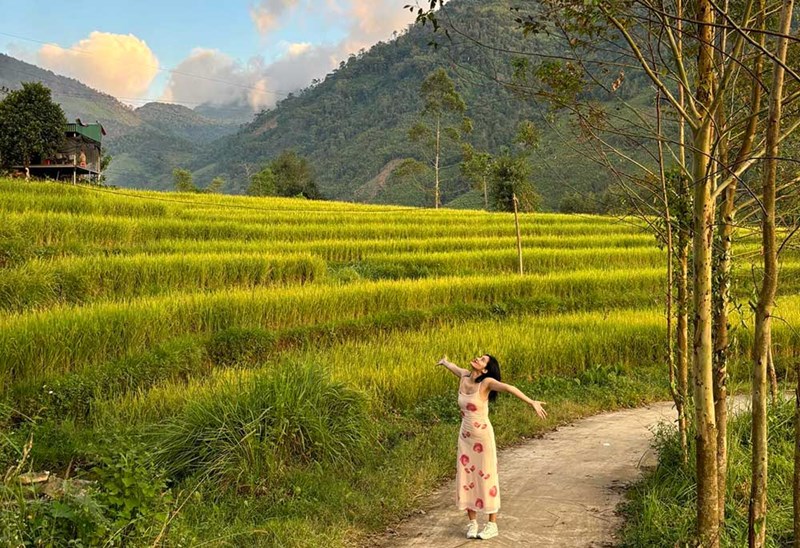 Sianing Rice Binh Lieu golden season hums with singing rice