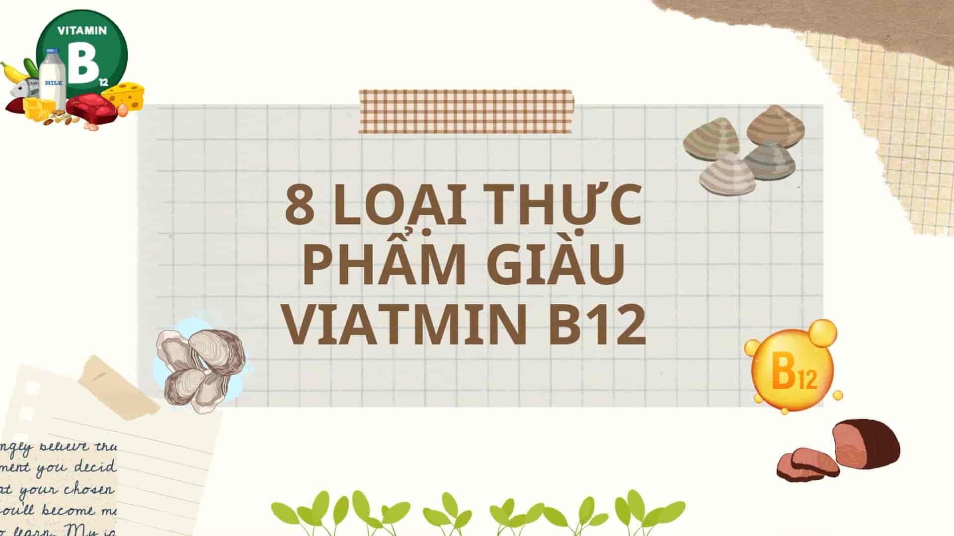 8 Food Sources Rich in Vitamin B12 You Should Know