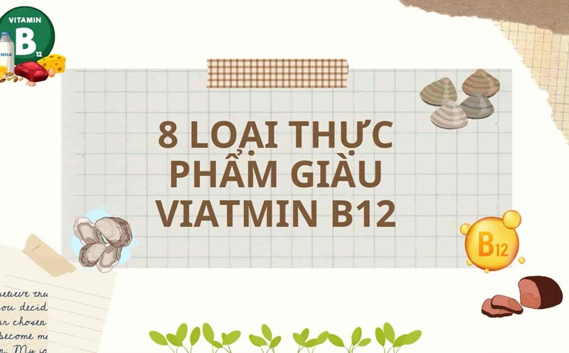8 Food Sources Rich in Vitamin B12 You Should Know
