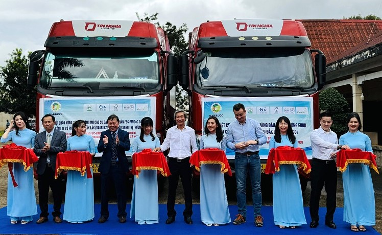 Immediately after achieving FSC certification, Dak Lak Rubber Joint Stock Company organized the export of quality goods to foreign countries. Photo: Bao Trung