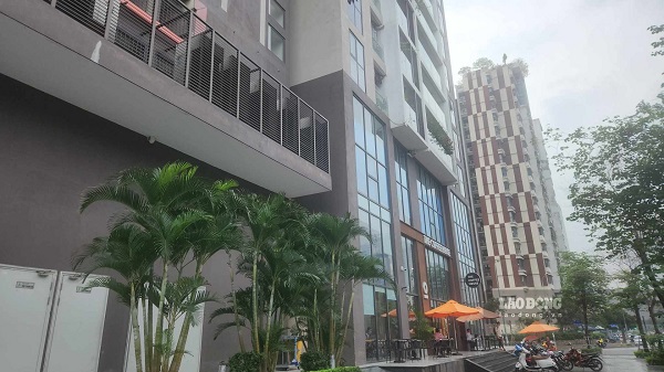 It is difficult to distinguish between real apartment prices or brokers' tricks. Photo: Minh Hanh