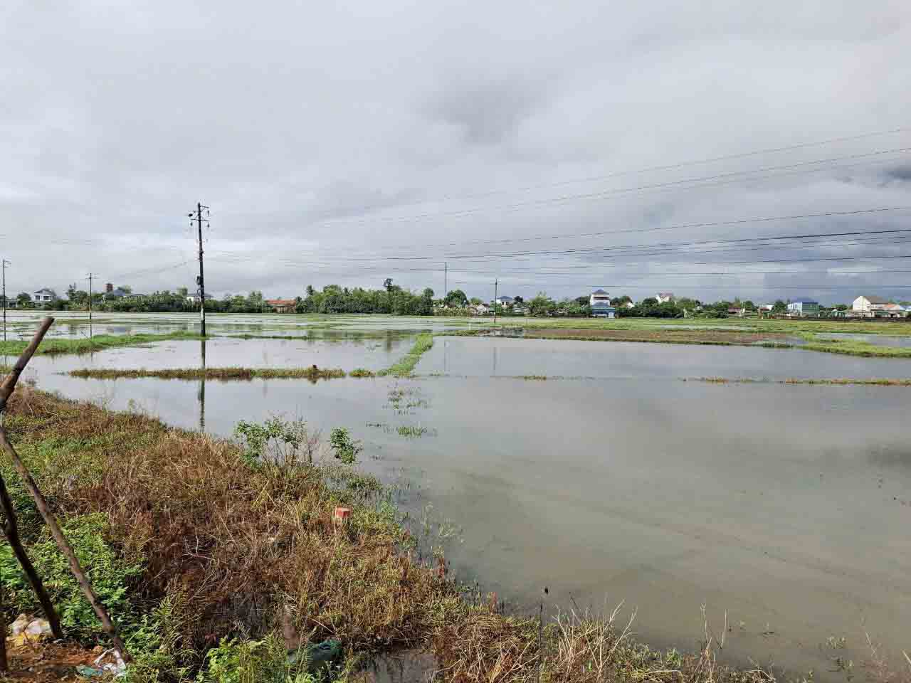 Mua lon nen dong ruong o Ha Tinh vao ngay 22.10 nuoc kha cao. Anh: Tran Tuan.