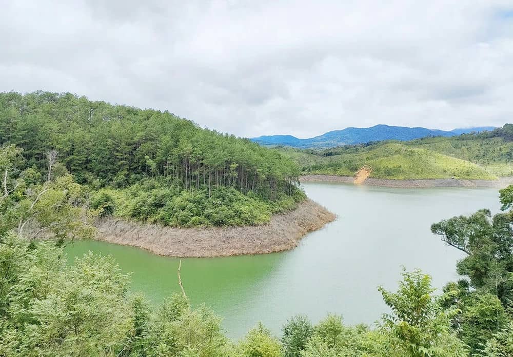 Thuong Kon Tum Hydropower Plant's water storage has killed more than 25 hectares of forest. Photo: Thanh Tuan