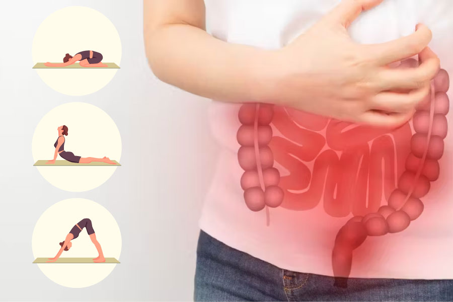3 simple yoga poses to help your colon become healthier. Graphics: Tuan Anh
