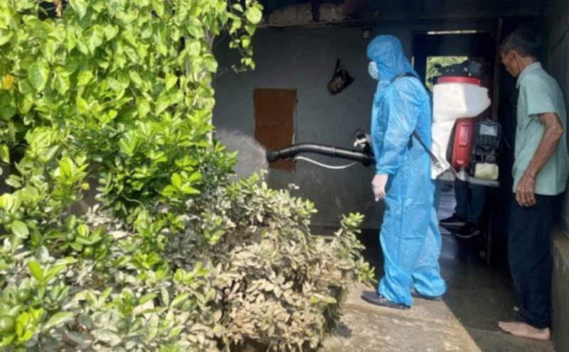 Medical staff in Thai Binh spray disinfectant at the site of a dengue fever case. Photo: Thai Binh Province Electronic Information Portal