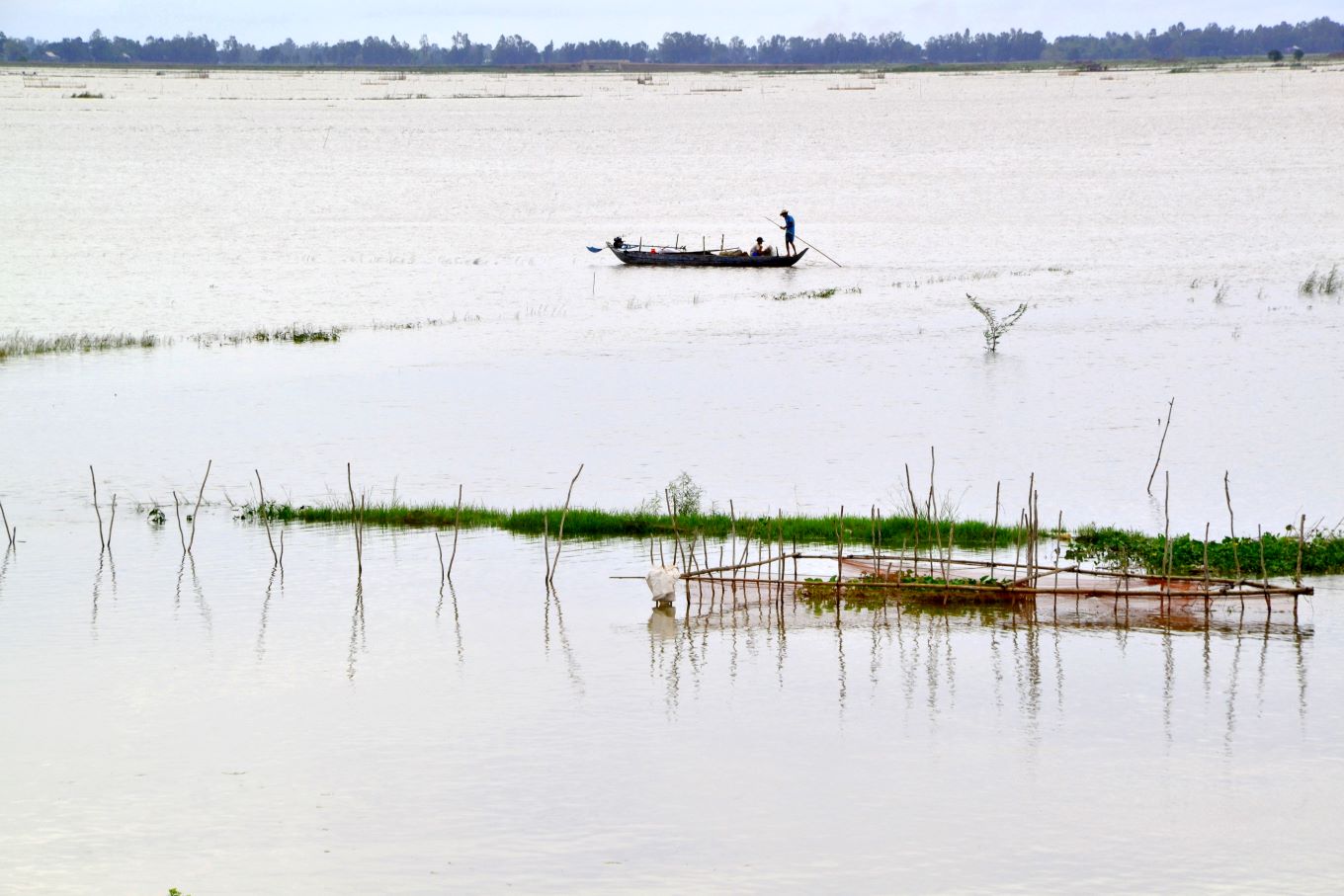 Bat dau tu thang 7, khi nuoc tu thuong nguon song Mekong do manh ve, DBSCL buoc vao mua nuoc noi, gan day quen goi la lu. Day cung la thoi diem ca linh xuat hien. 