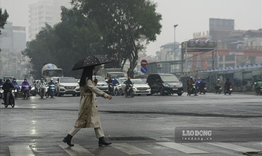 dự báo thời tiết