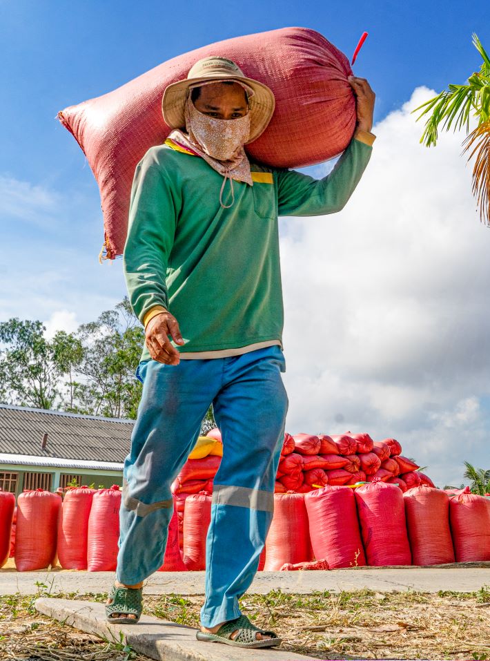 De vac duoc nhung bao lua nang gan 50kg doi hoi nguoi vac phai co suc khoe tot. Thong thuong vac lua tu bo xuong ghe la cuc nhat boi nguoi vac khong chi chiu dung suc nang tren vai ma con phai tap trung chu y buoc di tren cay cau nho bang ban chan nguoi.