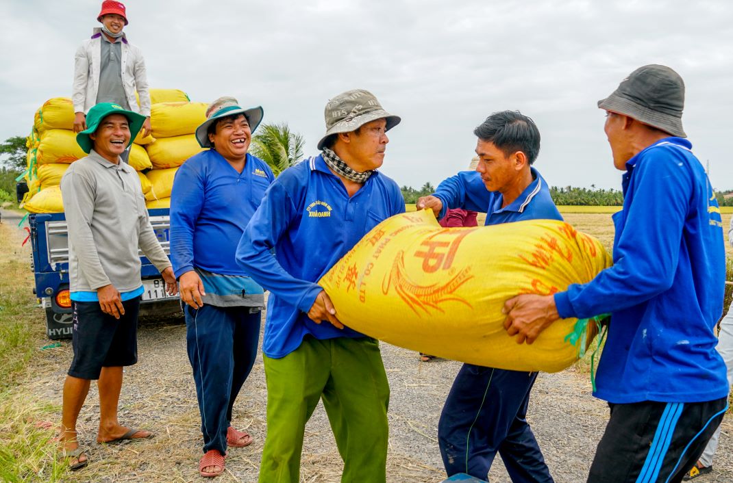 Ong Nguyen Van Thanh - mot lao dong vac lua thue o xa Long Duc, huyen Long Phu, tinh Soc Trang cho biet: Tien cong vac lua duoc tinh bang tan. 1 tan la 50.000 - 80.000 dong (tuy khoang cach xa gan) neu minh dam nhan luon cong viec can lua thi them 20.000 - 30.000 dong/tan nua. Vao vu lua 1 lao dong co the kiem thu nhap 500.000 - 600.000 dong/ngay.