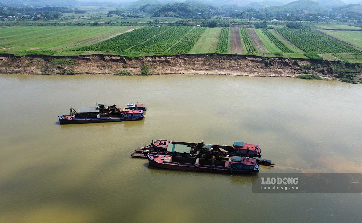 The sand and gravel mining area of ​​a business on the Lo River section through Son Duong District (Tuyen Quang) is experiencing serious bank erosion. Photo: Viet Bac.