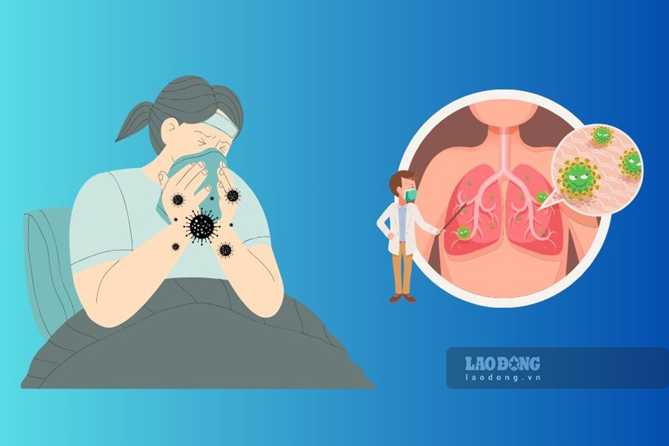 A person in Binh Dinh died from A/H1pdm flu. Graphics: Hoai Luan