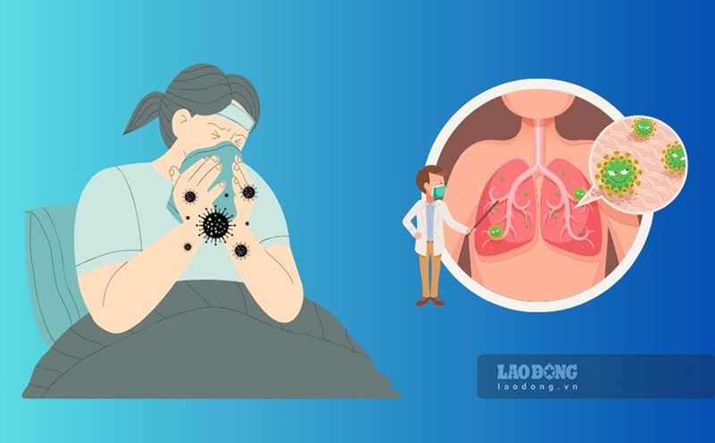 A person in Binh Dinh died from A/H1pdm flu. Graphics: Hoai Luan