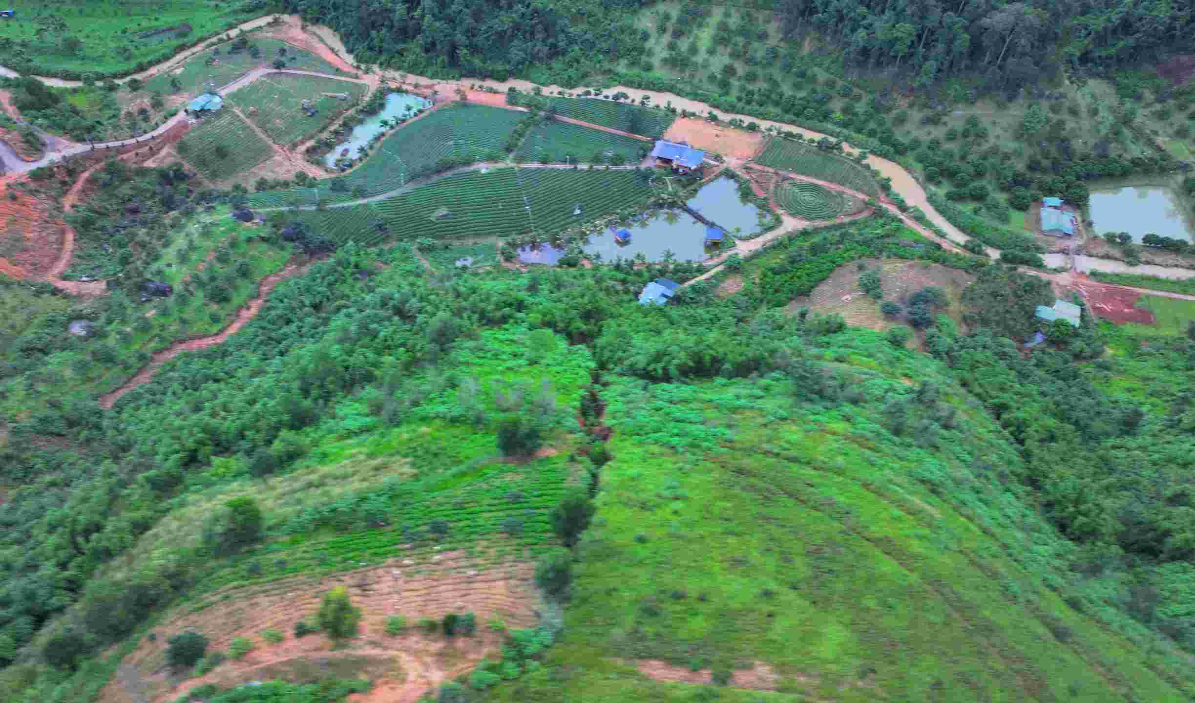 A hill at risk of landslides in Loc Tan commune, Bao Lam district, Lam Dong province. Photo: Hoai Thanh