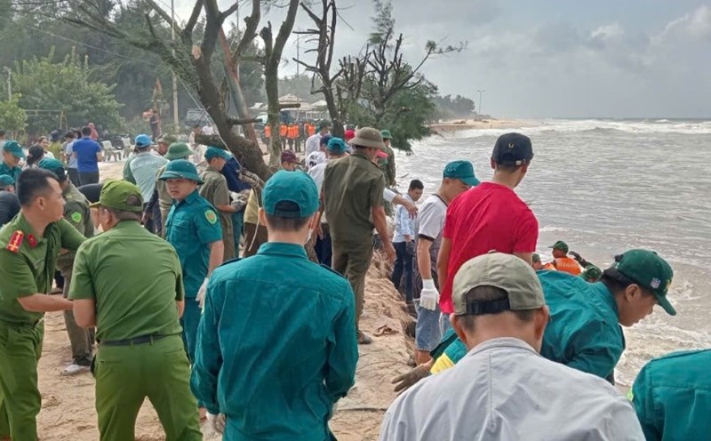 Hundreds of people reinforce the coast of Phu Thuan commune (Phu Vang district, Thua Thien Hue province) after waves and heavy rain caused severe erosion. Photo: Nguyen Luan.