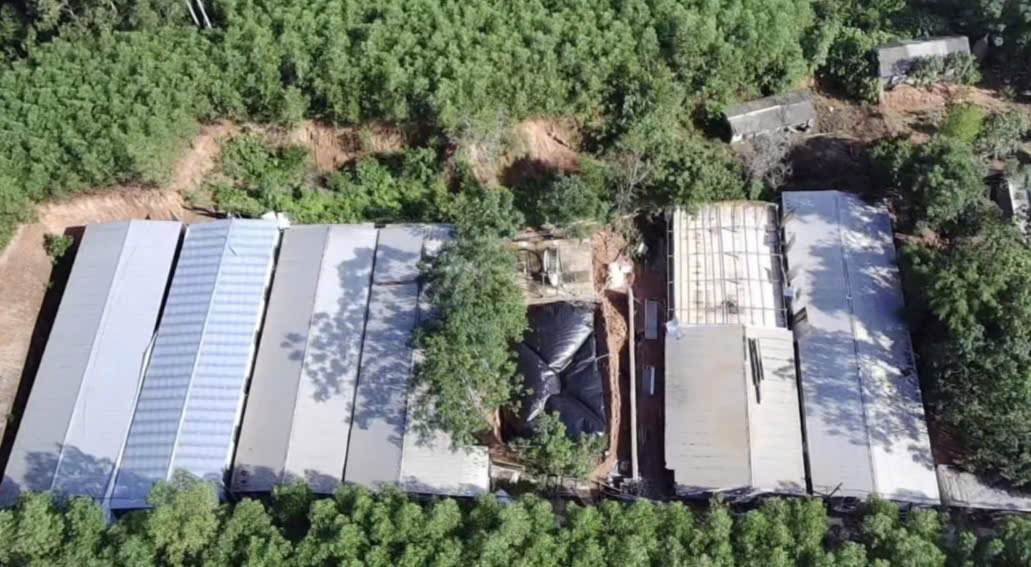 Mr. Le Van Hung's livestock farm in Tan Yen A hamlet, Tien Thanh commune (Yen Thanh district, Nghe An). Photo: Quang Dai
