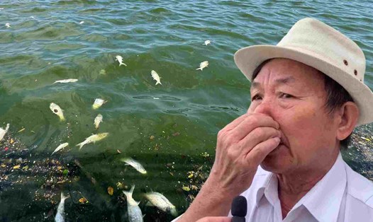 Vẫn tiếp diễn tình trạng cá chết bốc mùi nồng nặc ở Hồ Tây