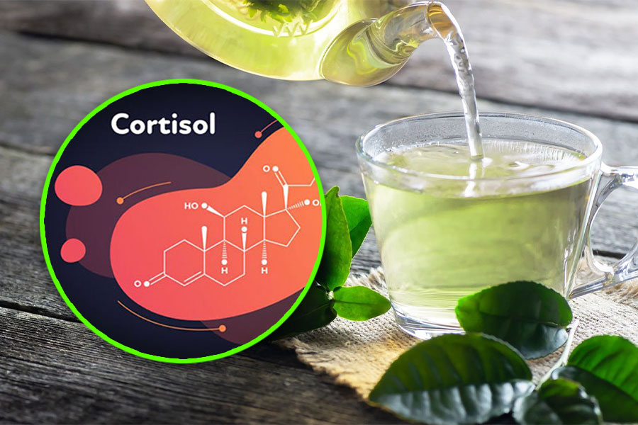 Using green tea helps reduce cortisol levels quickly. Graphics: Tuan Anh.