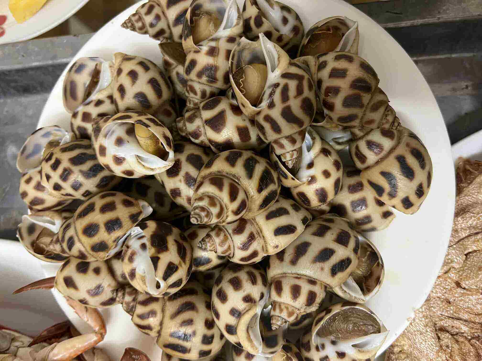 Snails are one of the hard-shelled species that contain a significant amount of purines that are thought to cause a risk of increased uric acid. Photo: Kieu Vu
