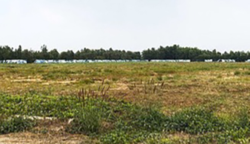 After many years of not implementing the project and not putting the land into use, Long An province has announced land reclamation. Photo: An Long