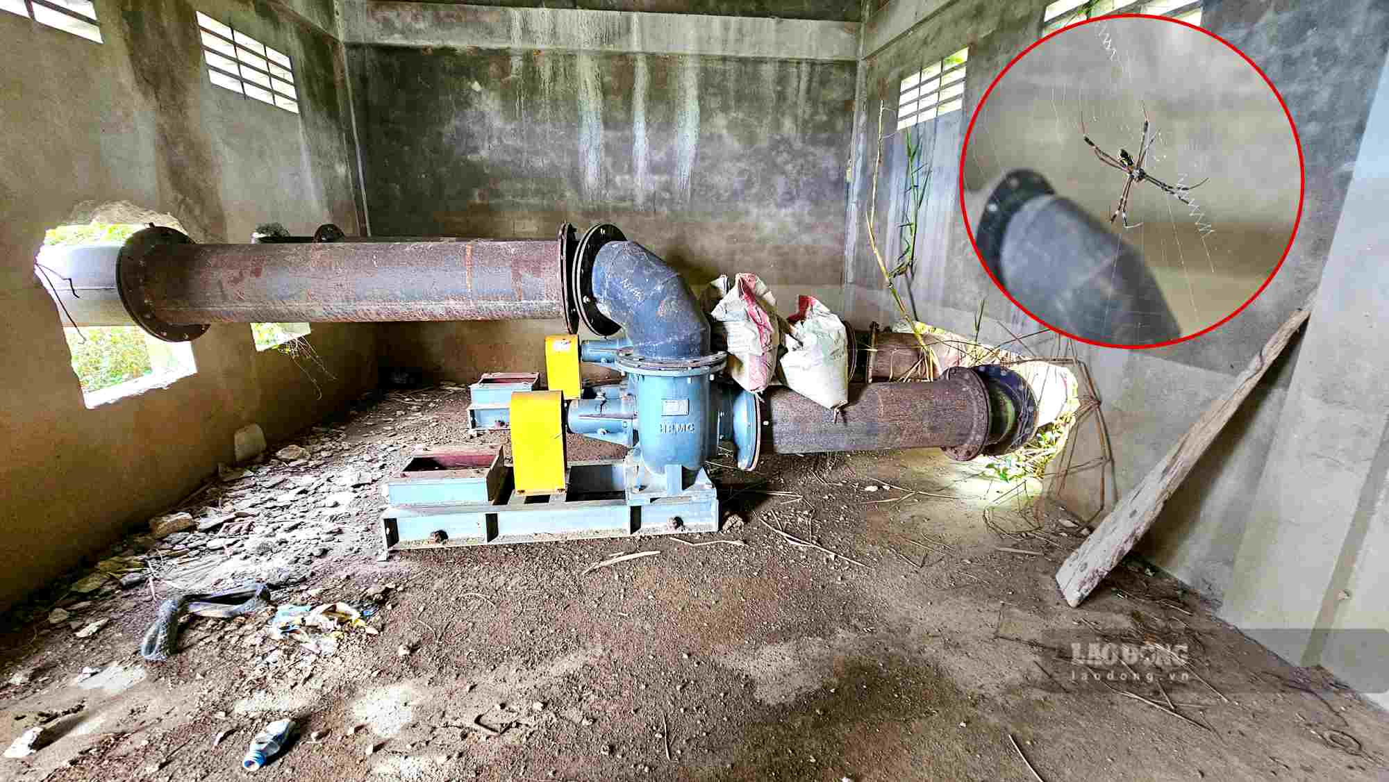 Công trình trạm bơm điện trị giá 1,5 tỉ đồng bị bỏ hoang nhiều năm, nhếch nhác, bao trùm bởi cỏ dại. Ảnh: Phúc Đạt