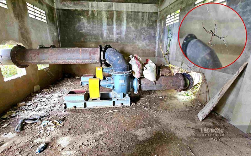 Công trình trạm bơm điện trị giá 1,5 tỉ đồng bị bỏ hoang nhiều năm, nhếch nhác, bao trùm bởi cỏ dại. Ảnh: Phúc Đạt