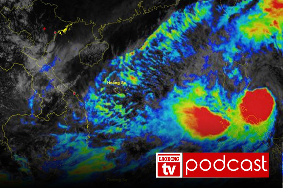 Morning news: Time when storm Tra Mi enters the East Sea, gust level 15