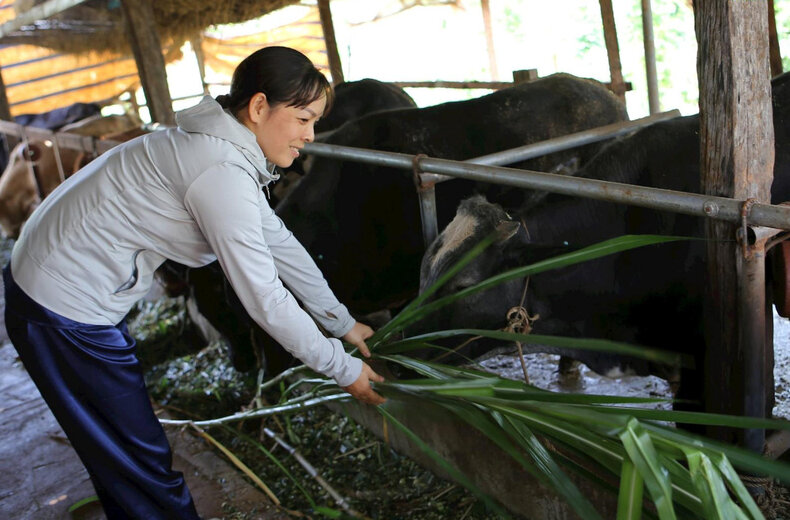 Hien nay, doi song kinh te - xa hoi cua nguoi dan o huyen Dak R'lap ngay cang duoc nang cao. Anh: Nguyen Luong