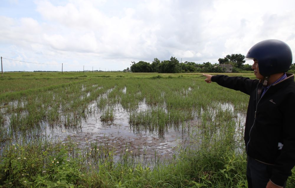 Nơi sẽ xây dựng Khu tái định cư Triệu Độ hiện vẫn là ô ruộng ngập nước. Ảnh: Hưng Thơ