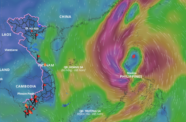 Updated location of storm Tra Mi at 8am on October 24. Photo: Vietnam Disaster Monitoring System
