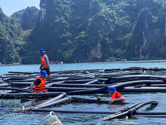 Nhieu doanh nghiep ho tro Viet Nam dau tu ben vung. Anh: Mai Mai