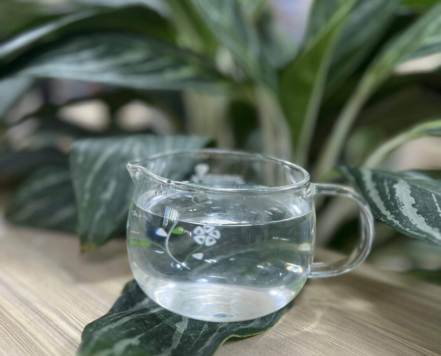 Drinking enough water is one of the ways to keep your body hydrated to help reduce blood fat. Photo: Kieu Vu