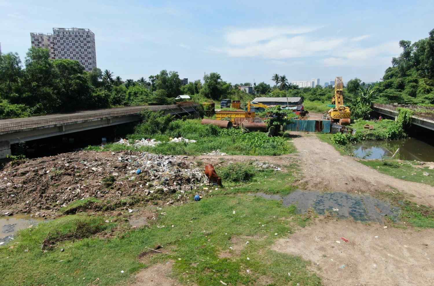 Công trường Vành đai 2 TPHCM hoang phế, thành nơi chăn bò sau hơn 4 năm dừng thi công. Ảnh: Minh Quân