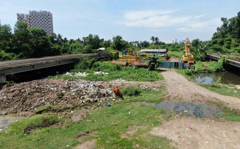 Công trường Vành đai 2 TPHCM hoang phế, thành nơi chăn bò sau hơn 4 năm dừng thi công. Ảnh: Minh Quân