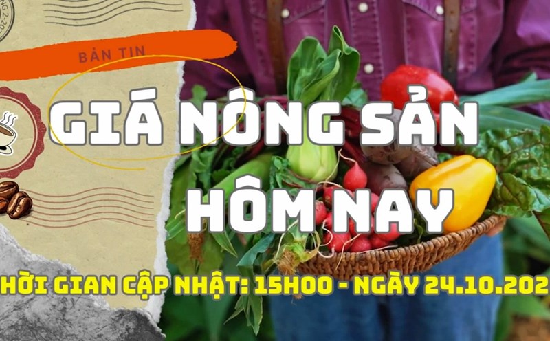 Today's Agricultural Prices 24.10: Pepper prices continue to grow