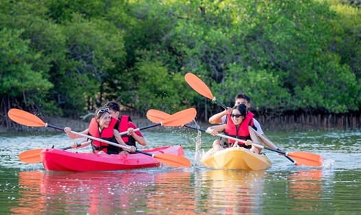 Du lịch sinh thái rừng ngập mặn ở Khánh Hòa mang lại trải nghiệm thú vị cho du khách. Ảnh: Long Phú