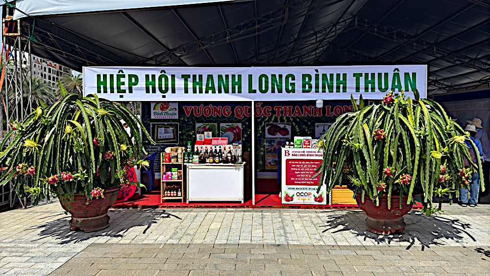 Gian hang cua Hiep hoi thanh long Binh Thuan noi bat voi trung bay 2 cay thanh long trong chau. Anh: Duy Tuan 