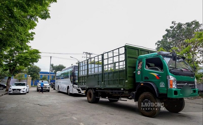Trucks with extensions will be reported to the traffic police for inspection. Illustration: Thuy Trang
