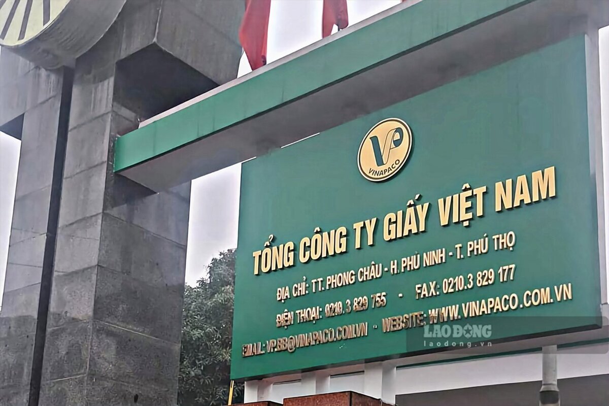 Tổng Công ty giấy Việt Nam - Công ty TNHH bị UBND tỉnh Phú Thọ xử phạt. Ảnh: Tô Công