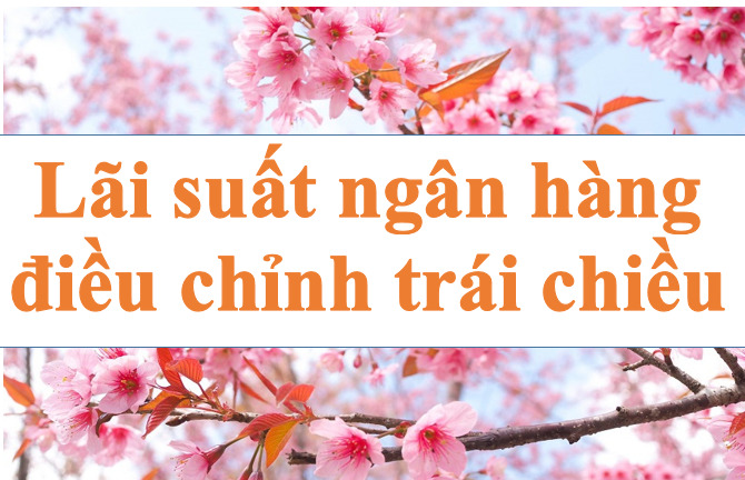 Interest Rate of banks adjusted in opposite directions. Illustration photo: Ha Vy