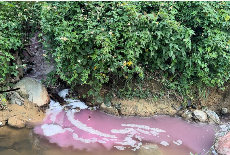 The forest products processing factory of Son Thuy Joint Stock Company (Mong Hoa commune, Hoa Binh city) brazenly discharged wastewater into the environment. Photo: Khanh Linh