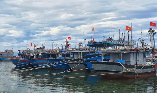 Tất cả tàu thuyền ở tỉnh Thừa Thiên Huế đã vào bờ tránh, trú bão Trà Mi. Ảnh: Phúc Đạt