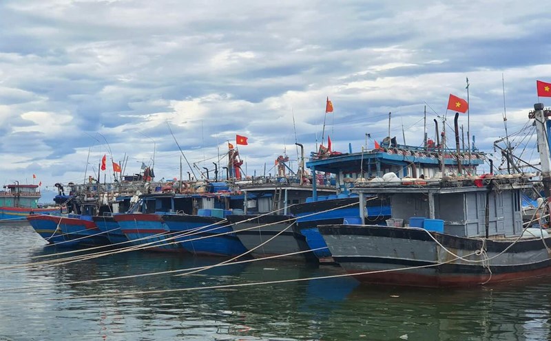 All boats in Thua Thien Hue province have come ashore to avoid and take shelter from storm Tra Mi. Photo: Phuc Dat