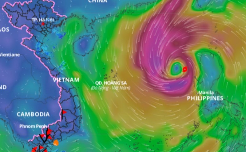 Updated location of storm Tra Mi at 8am this morning, October 25. Photo: Vietnam Disaster Monitoring System